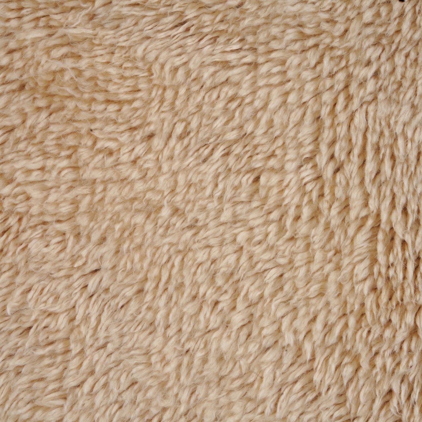 Cozy Rug - Beige Swatch