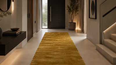 Entry and Hallways